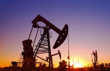FED duy trì lãi suất thấp, giá dầu giảm 7 USD/thùng