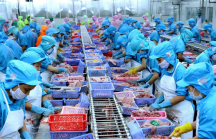 Thị trường hàng hóa 2021 - Bài 2: Tín hiệu khả quan cho xuất khẩu thủy sản Việt Nam?