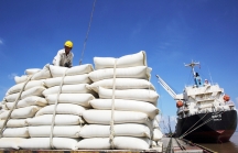 Thị trường hàng hoá 2021 - Bài 4: Xuất khẩu gạo vẫn giữ nhịp ổn định
