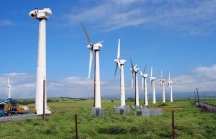 EVN có thể tiếp tục cắt giảm công suất điện gió ở mức cao do thừa điện