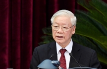 Trình Quốc hội miễn nhiệm Chủ tịch nước Nguyễn Phú Trọng