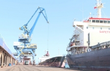 Quảng Ngãi giao 34,88 ha đất để xây dựng bến cảng tổng hợp - container Hòa Phát Dung Quất