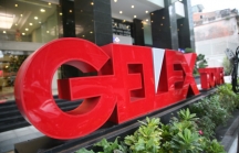 Cổ phiếu Gelex tăng trần sau khi hợp nhất Viglacera