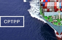 VCCI: Lợi ích xuất khẩu trực tiếp từ CPTPP còn nhiều hạn chế