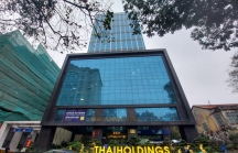 Thaiholdings muốn tăng vốn gấp đôi, đầu tư vào Thaigroup và Cường Thịnh Thi