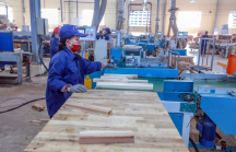 Loạt doanh nghiệp chế biến gỗ 'đổ bộ' vào Bình Định