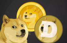 22 tỷ USD vốn hoá Dogecoin bị thổi bay