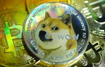 Dogecoin, 'trò đùa' của thị trường tiền điện tử và mức tăng kỷ lục 25.000%