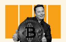 CEO Twitter đối đầu Elon Musk trong 'cuộc chiến' Bitcoin