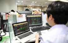 Những cổ phiếu 'đắt xắt ra miếng' của chứng khoán Việt