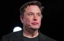 'Tôi mất sạch tiền tiết kiệm rồi, Elon Musk'