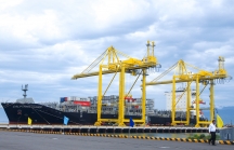 Chi phí logistics tăng vọt, doanh nghiệp xuất nhập khẩu ở Đà Nẵng rơi vào thế khó