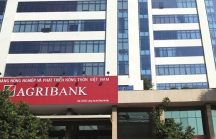 Agribank: Nỗ lực tháo gỡ khó khăn để sớm cổ phần hóa