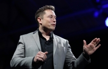 Elon Musk muốn đưa Tesla dẫn đầu trong lĩnh vực AI