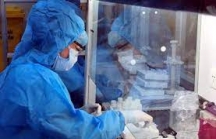 Lần đầu Việt Nam xây dựng thành công quy trình giải trình tự hệ gen virus SARS-CoV-2