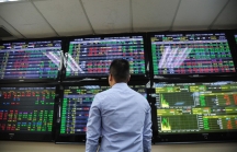 Dragon Capital: 'Định giá cổ phiếu ngân hàng và TTCK Việt Nam vẫn rất hấp dẫn dù đã tăng mạnh'