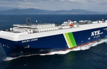 Nippon Yusen mua 12 tàu vận chuyển ô tô chạy bằng LNG để giảm phát thải