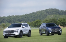 Trong tháng 5, tổng doanh số xe Hyundai đạt hơn 6.000 xe