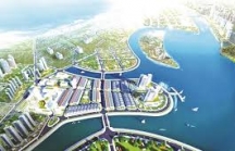 Sơn Hải Group được Quảng Bình giao đất thực hiện dự án địa ốc 2.200 tỷ