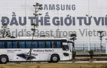 Greenpeace: Samsung cần sử dụng 100% năng lượng xanh ở Hàn Quốc và Việt Nam