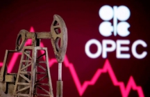 Giá dầu tăng mạnh, chờ đợi gì từ cuộc họp của nhóm OPEC+?