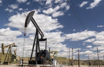 Đà tăng giá dầu liệu có sớm dừng lại?