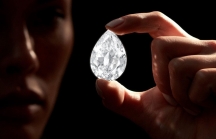 Đấu giá viên kim cương 101 carat bằng Bitcoin