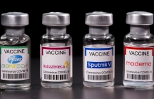 [Infographic] 6 loại vaccine COVID-19 ở Việt Nam khác nhau như thế nào?