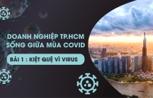 Doanh nghiệp TP.HCM sống giữa mùa COVID-19 - Bài 1: Kiệt quệ vì virus
