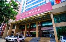 Agribank: Kết quả kinh doanh khả quan, còn nhiều dư địa tăng trưởng