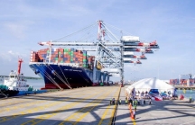 Bà Rịa - Vũng Tàu đề nghị điều chỉnh quy hoạch hàng loạt dự án cảng biển