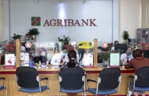 Agribank đưa ra nhiều giải pháp kịp thời hỗ trợ khách hàng và nền kinh tế