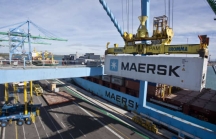 Maersk hưởng lợi béo bở nhờ giá vận chuyển tăng cao