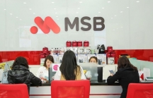 MSB lên kế hoạch bán 100% Công ty tài chính FCCOM