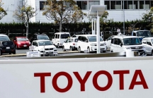 Toyota giảm 40% sản lượng toàn cầu tháng 9 do thiếu chip và dịch bệnh 