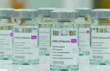 1 hãng dược Hàn Quốc muốn bán vaccine Việt trên toàn cầu