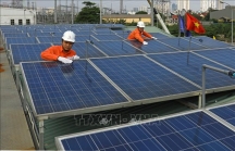 Việt Nam được đánh giá sẽ trở thành 'cường quốc năng lượng xanh' ở châu Á