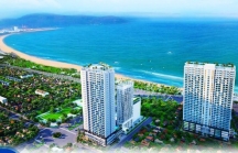‘Tham vọng’ địa ốc của Xuất nhập khẩu Phú Hưng tại Hà Tĩnh