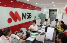 MSB phát hành 350 triệu cổ phiếu trả cổ tức