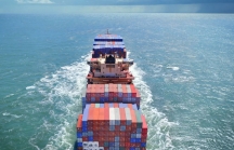 Cuộc đua tăng giá cước vận tải biển 'điên rồ' đã đạt đỉnh?