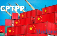 'Trung Quốc khó có thể gia nhập CPTPP'