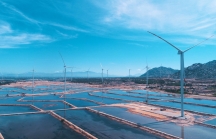 Quốc tế đưa tin về Tổ hợp kinh tế muối và năng lượng tái tạo lớn nhất Việt Nam