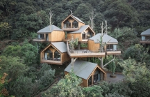 Giới nhà giàu bỏ nhiều tỷ đồng xây nhà trên cây ở như 'người rừng'