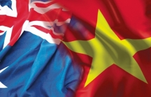 Australia tài trợ 5 triệu AUD giúp Việt Nam phục hồi hậu COVID-19