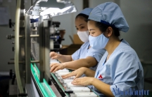 World Bank hạ dự báo tăng trưởng GDP của Việt Nam xuống 2-2,5%