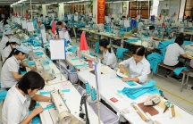 9 tháng, Việt Nam thu hút hơn 35 triệu USD từ FDI Đài Loan