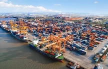 TP.HCM đề nghị lùi thời gian thu phí hạ tầng cảng biển đến đầu quý II/2022