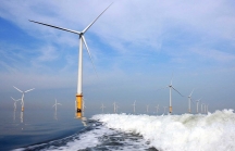 Tập đoàn PNE bàn giải pháp triển khai dự án điện gió ngoài khơi 4,8 tỷ USD ở Bình Định
