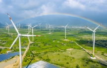 Ủy ban Thường vụ Quốc hội đề nghị Chính phủ gia hạn FIT điện gió đến 31/3/2022