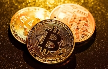 Bitcoin 'lấy đà' để sớm bứt phá